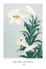 Ohara Koson - Lilies Variante 1