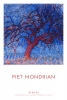 Piet Mondrian - The Red Tree Variante 3
