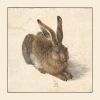 Albrecht Dürer - Feldhase (Young Hare) Variante 1