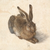 Albrecht Dürer - Feldhase (Young Hare) Variante 2