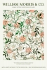William Morris - Jasmine Pattern Variante 1
