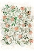 William Morris - Jasmine Pattern Variante 2