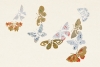 Kamisaka Sekka - Japanese Butterflies from Cho Senshu Variante 1