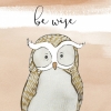 Be Wise Variante 1