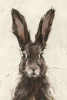 Hare Portrait No. 1 Variante 1