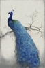 Peacock No. 2 Variante 1
