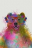 Rainbow Animals No. 1 - Bear Variante 1
