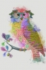 Rainbow Animals No. 9 - Owl Variante 1
