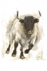 Painted Bull Variante 1