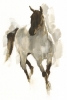 Painted Horse No. 1 Variante 1
