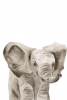 Animal Babies No. 3 - Elephant Variante 1