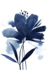 Blue flower No. 2 Variante 1