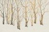 Snowtrees Variante 1