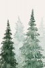 Misty Forest Variante 1