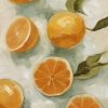 Citrus Fruits in Oil No. 1 Variante 1