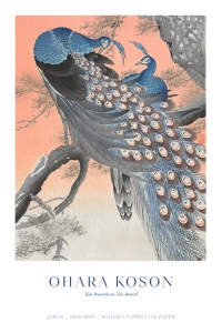 Ohara Koson - Two Peacocks on Tree Branch