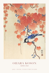 Ohara Koson - Small Bird on a Branch
