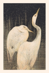 Theo van Hoytema - Two Egrets