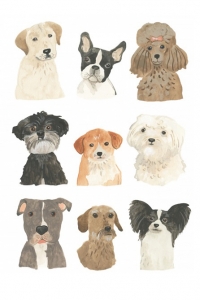 Puppy Portraits