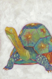 Turtle No. 2
