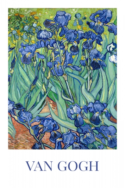 Vincent van Gogh - Irises Variante 1 | 60x90 cm | Premium-Papier wasserfest