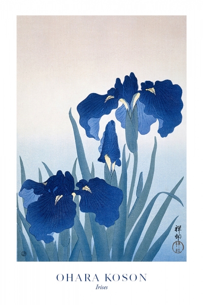 Ohara Koson - Irises Variante 1 | 30x45 cm | Premium-Papier