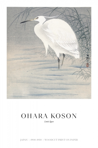 Ohara Koson - Little Egret Variante 1 | 60x90 cm | Premium-Papier wasserfest