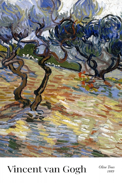 Vincent van Gogh - Olive Trees: Bright blue sky Variante 1 | 60x90 cm | Premium-Papier wasserfest