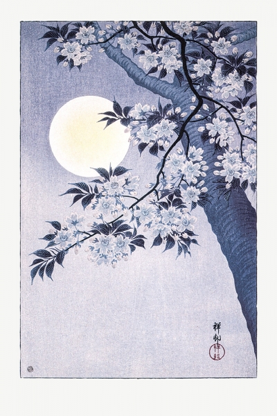 Ohara Koson - Blossoming Cherry on a Moonlit Night Variante 1 | 60x90 cm | Premium-Papier wasserfest