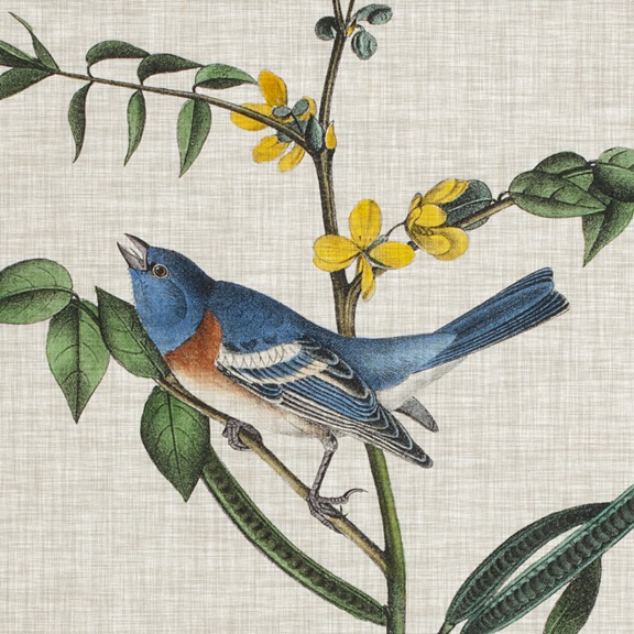 Tapestry with Birds No. 3 Variante 1 | 40x40 cm | Premium-Papier