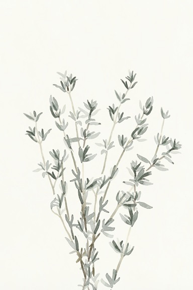 Delicate Herbs No. 2 