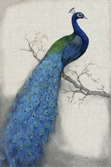 Peacock No. 1 Variante 1 | 13x18 cm | Premium-Papier