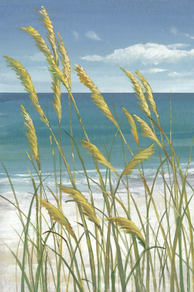Dune Grass Variante 1 | 13x18 cm | Premium-Papier