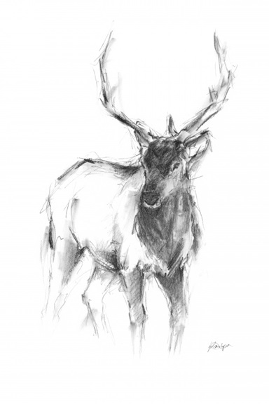 Animal Sketch No. 2 