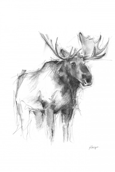 Animal Sketch No. 4 