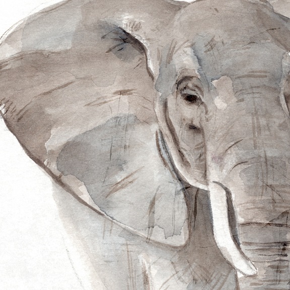 The elephant No. 2 