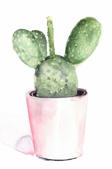 Cute Cacti No. 3 